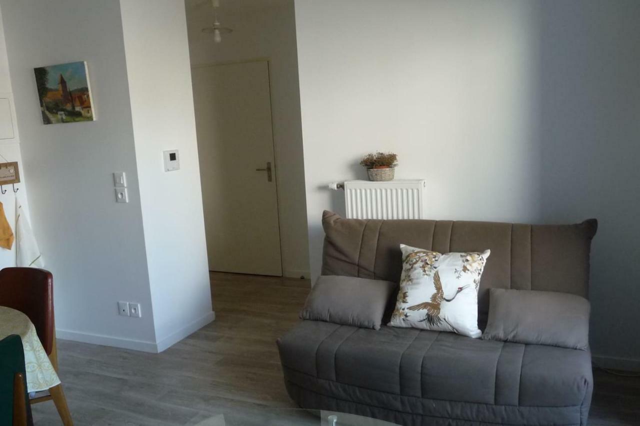 Pour Visiter Ou Travailler Dans Le Loiret Apartment Saint-Jean-de-Braye Exterior photo